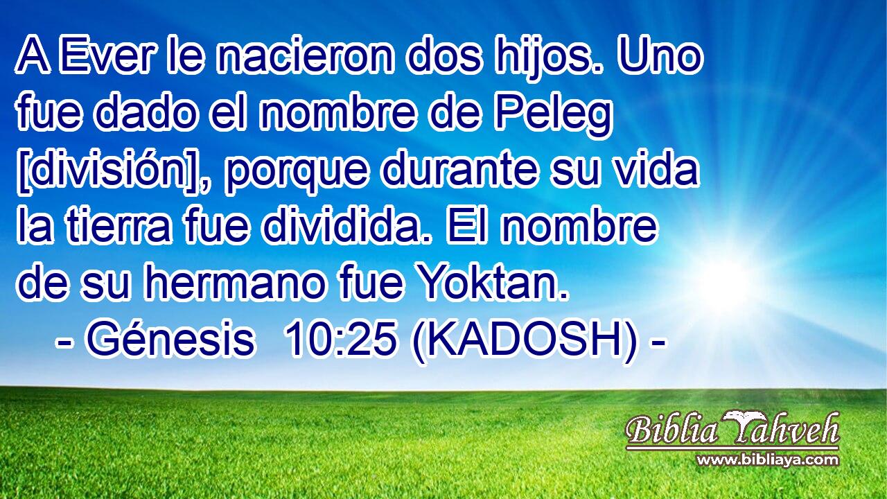  A Ever le nacieron dos hijos. Uno fue dado el nombre de Peleg [división], porque durante su vida la tierra fue dividida. El nombre de su hermano fue Yoktan. 