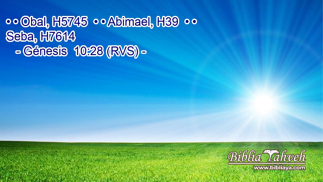 • • Obal, H5745  • • Abimael, H39  • • Seba, H7614  