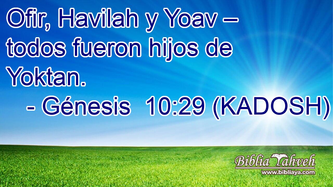  Ofir, Havilah y Yoav – todos fueron hijos de Yoktan. 