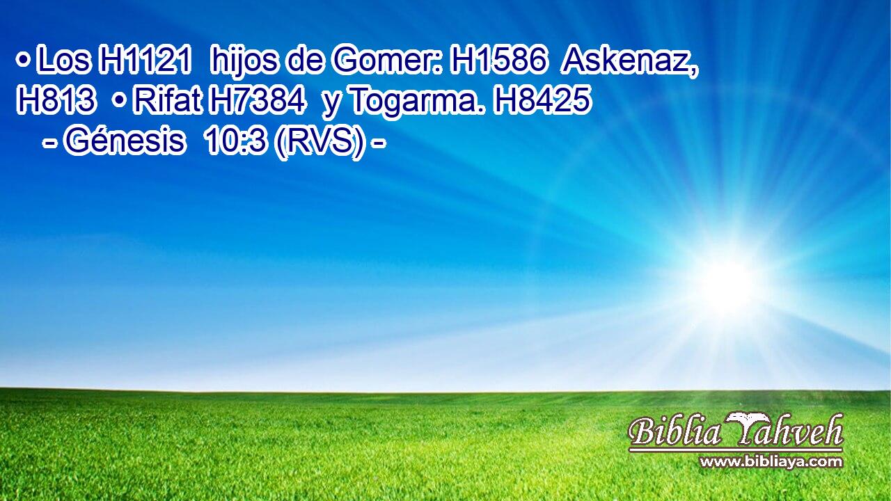 • Los H1121  hijos de Gomer: H1586  Askenaz, H813  • Rifat H7384  y Togarma. H8425  