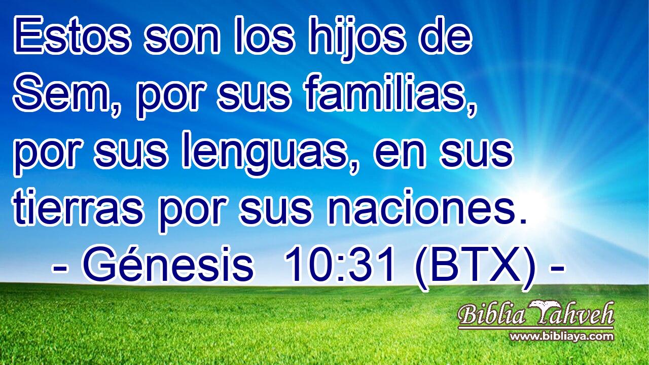 Estos son los hijos de Sem, por sus familias, por sus lenguas, en sus tierras por sus naciones.