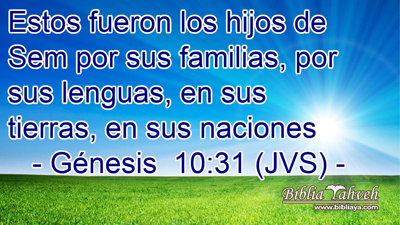 Estos fueron los hijos de Sem por sus familias, por sus lenguas, en sus tierras, en sus naciones
