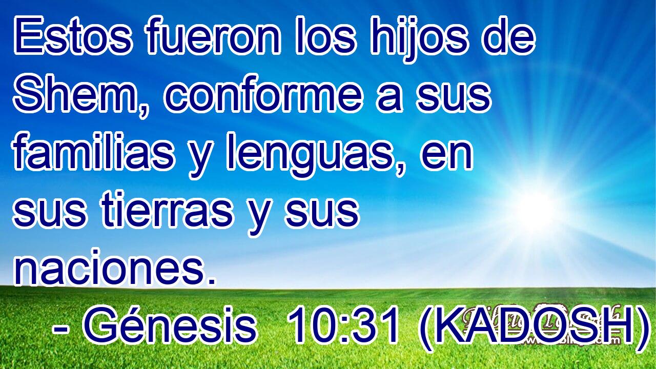  Estos fueron los hijos de Shem, conforme a sus familias y lenguas, en sus tierras y sus naciones. 