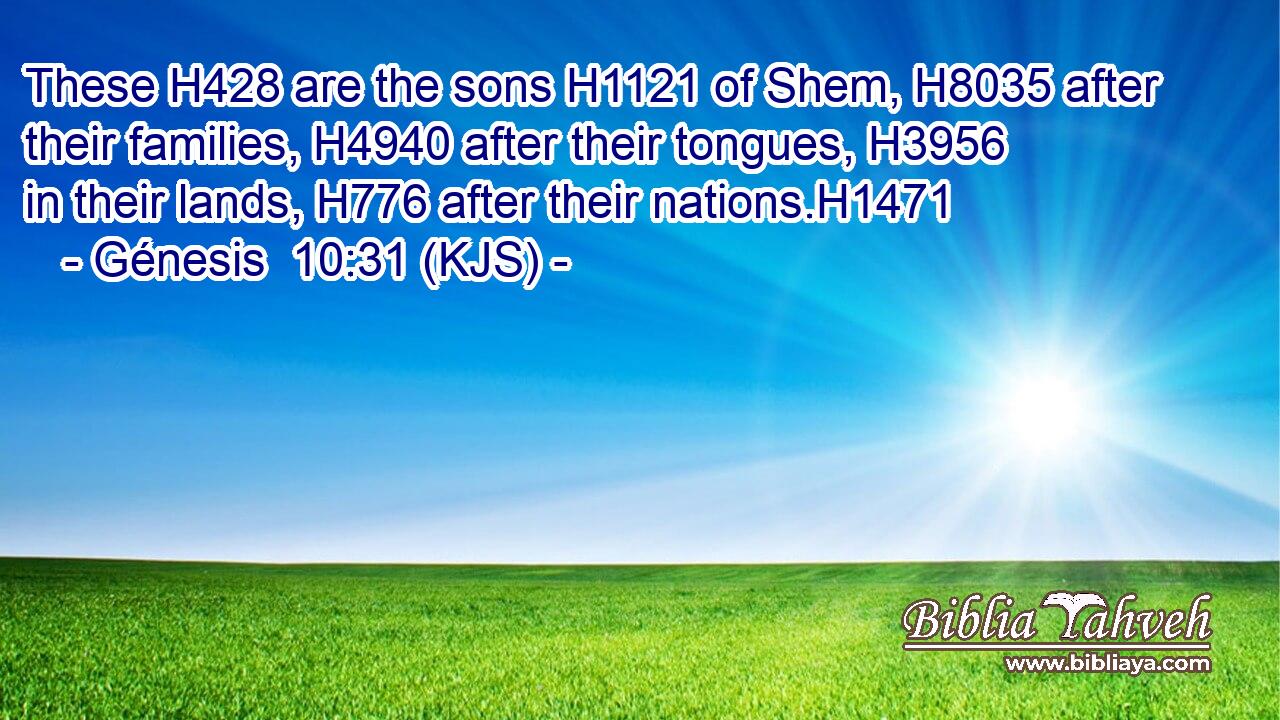 These H428 are the sons H1121 of Shem, H8035 after their families, H4940 after their tongues, H3956 in their lands, H776 after their nations.H1471