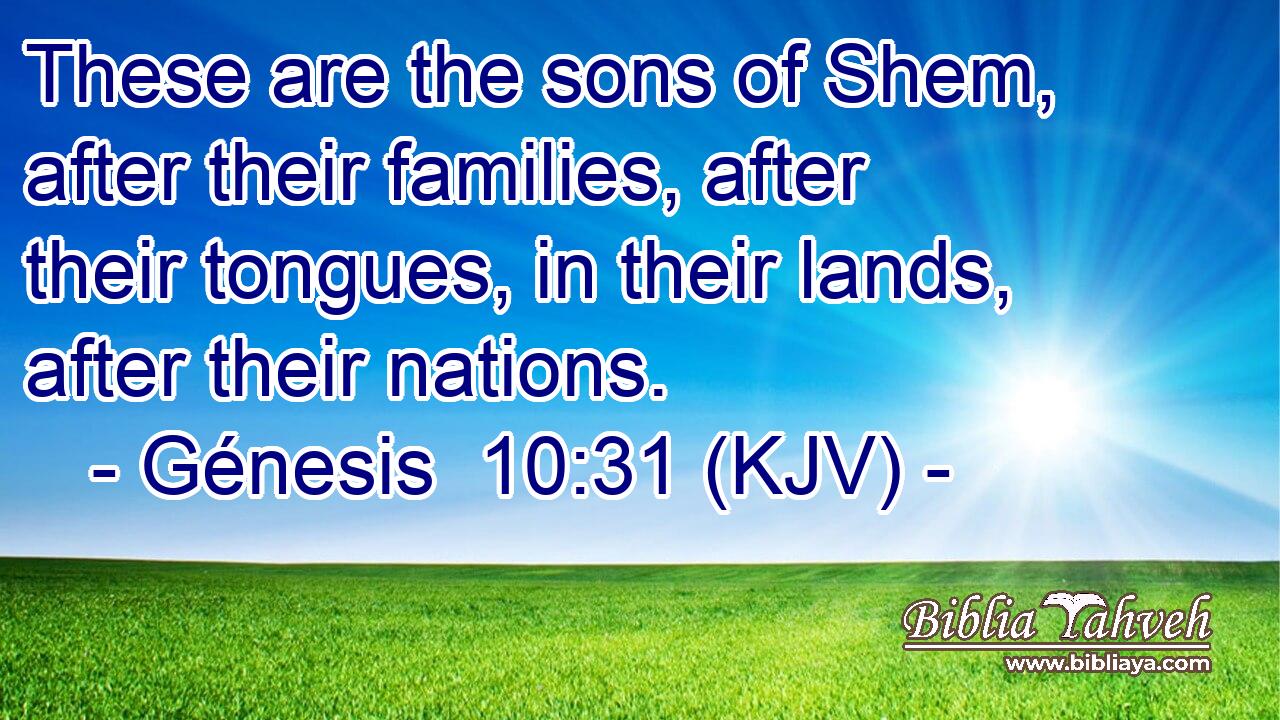 These are the sons of Shem, after their families, after their tongues, in their lands, after their nations.