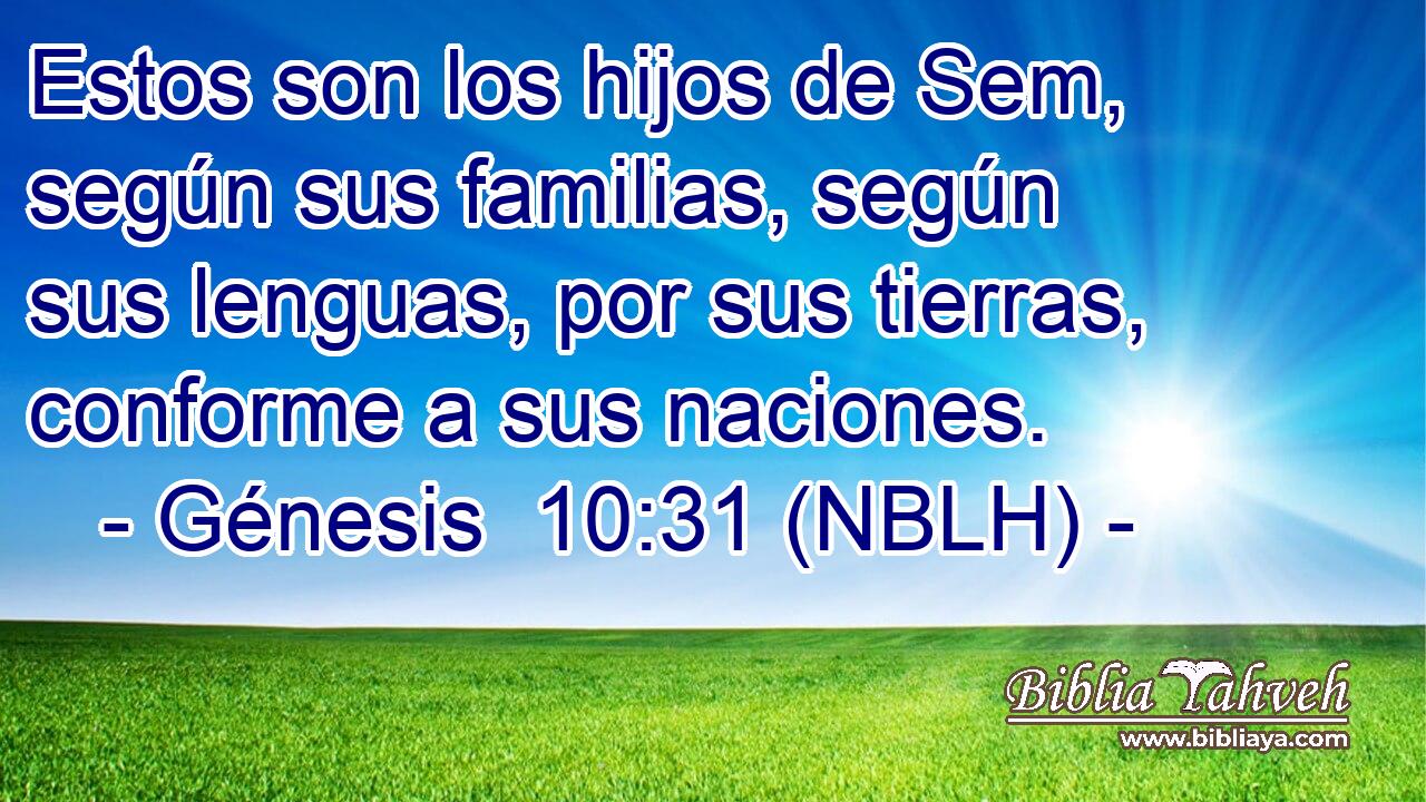  Estos son los hijos de Sem, según sus familias, según sus lenguas, por sus tierras, conforme a sus naciones. 