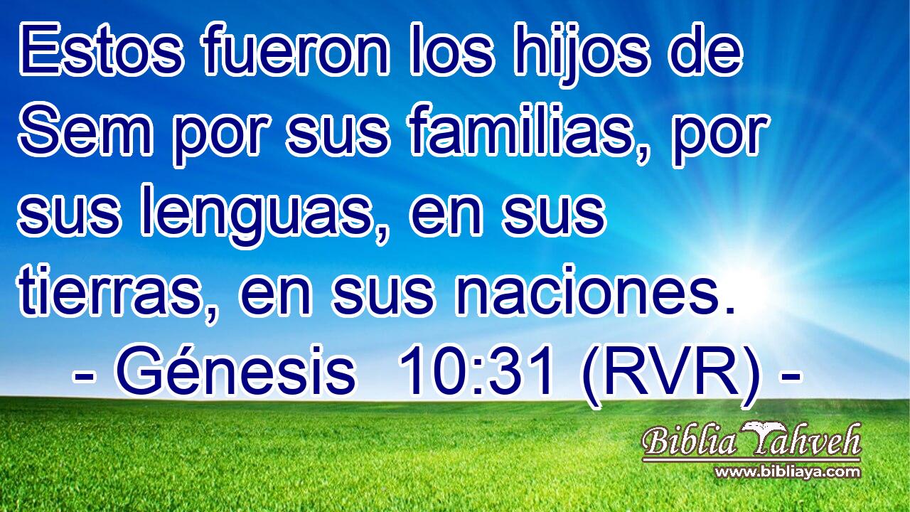 Estos fueron los hijos de Sem por sus familias, por sus lenguas, en sus tierras, en sus naciones.