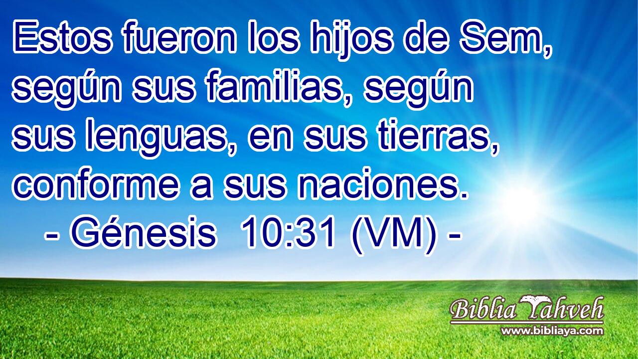  Estos fueron los hijos de Sem, según sus familias, según sus lenguas, en sus tierras, conforme a sus naciones. 