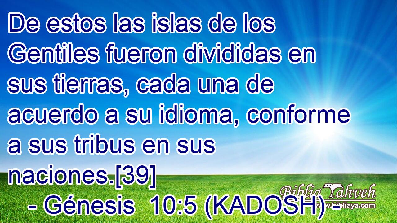  De estos las islas de los Gentiles fueron divididas en sus tierras, cada una de acuerdo a su idioma, conforme a sus tribus en sus naciones.[39] 