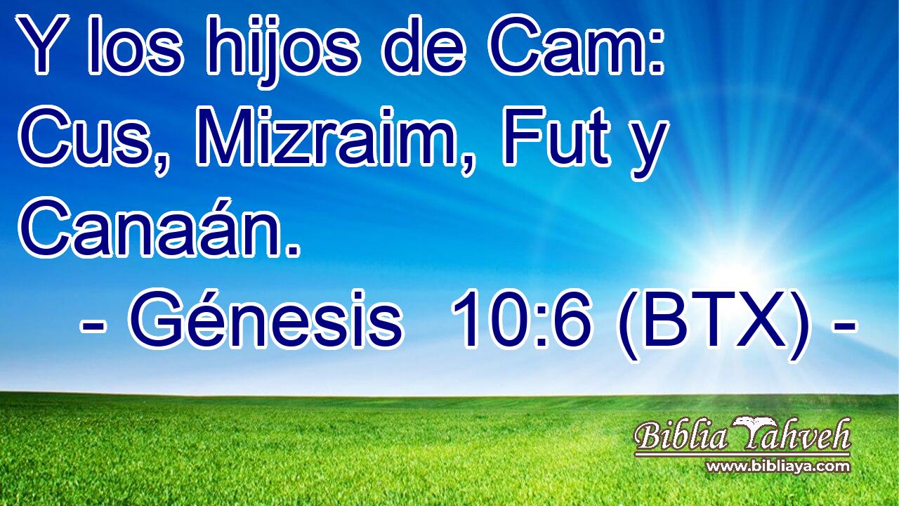 Y los hijos de Cam: Cus, Mizraim, Fut y Canaán.