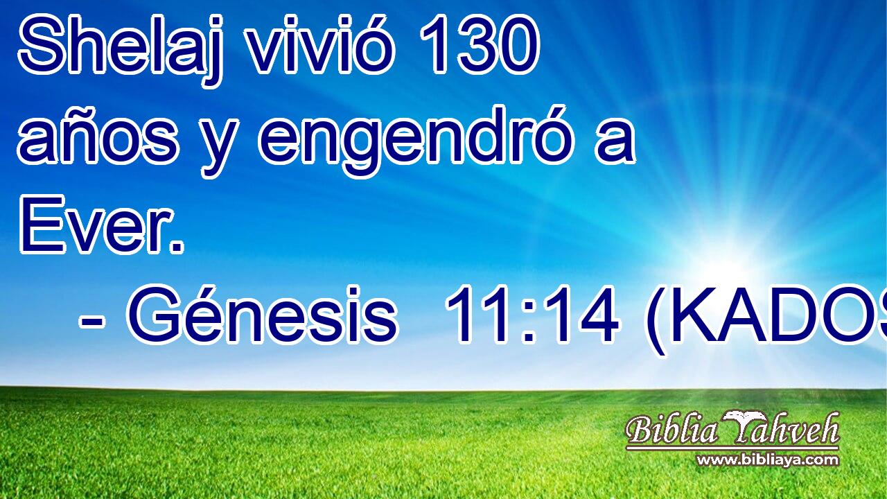  Shelaj vivió 130 años y engendró a Ever. 