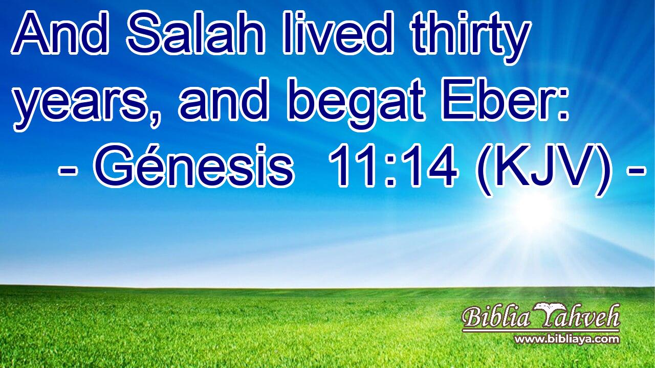 And Salah lived thirty years, and begat Eber: