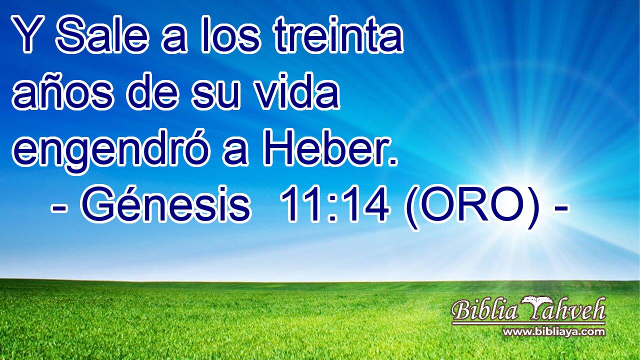  Y Sale a los treinta años de su vida engendró a Heber. 