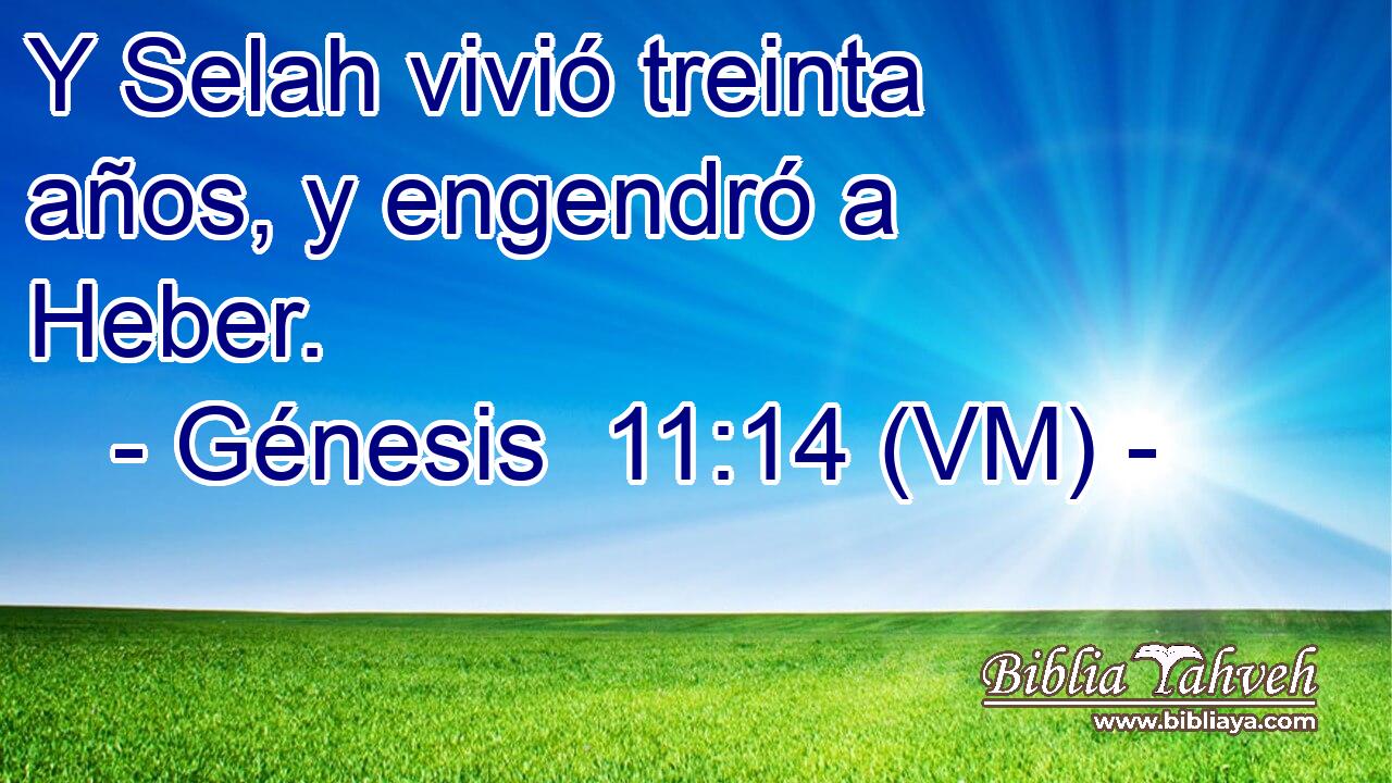  Y Selah vivió treinta años, y engendró a Heber. 