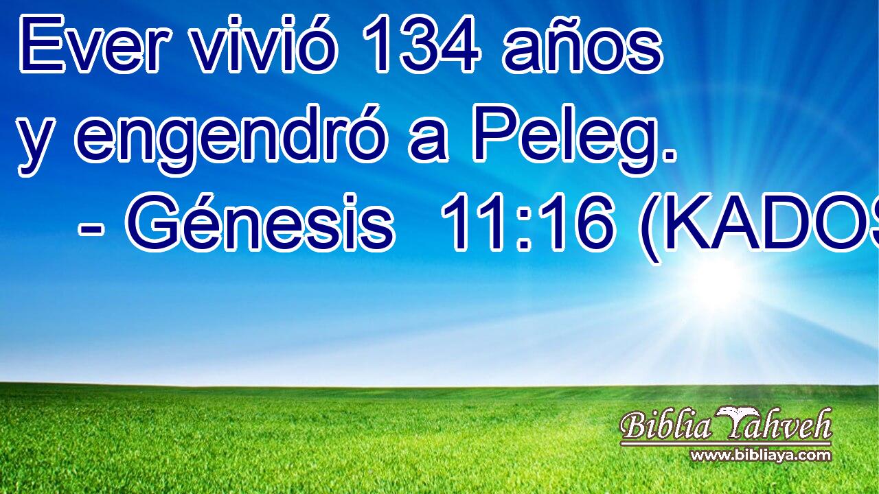 Ever vivió 134 años y engendró a Peleg. 