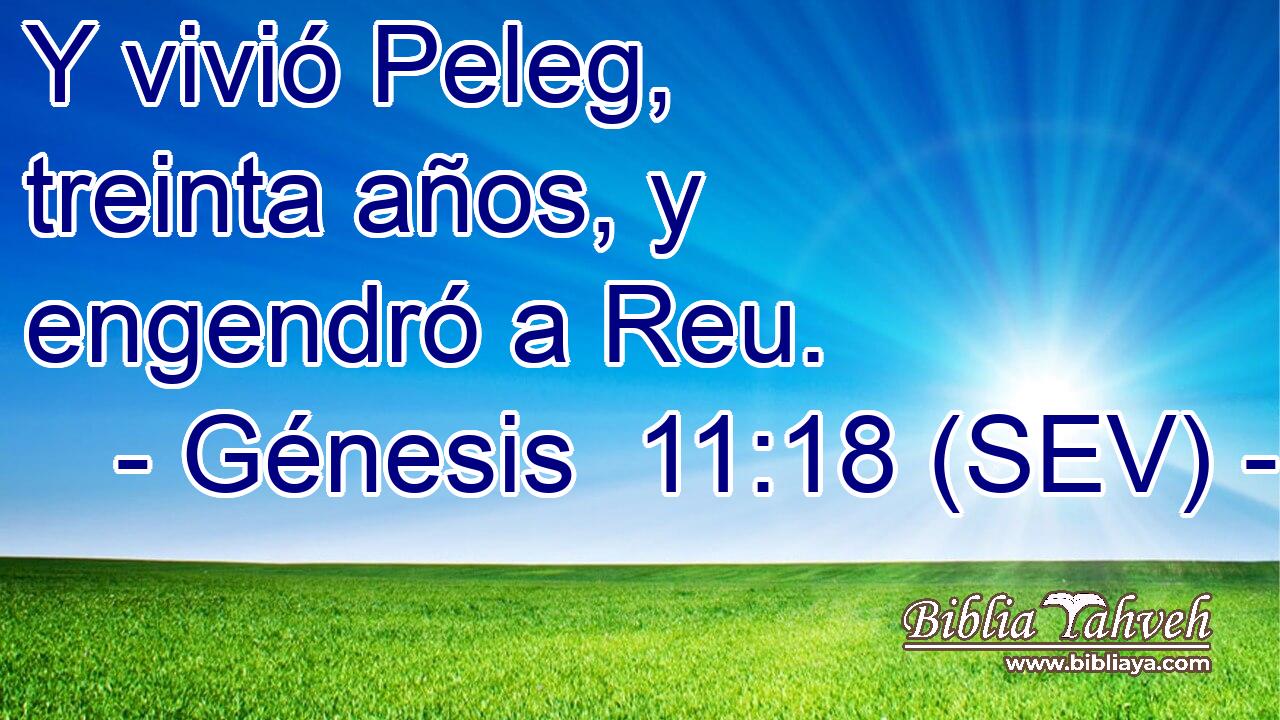 Y vivió Peleg, treinta años, y engendró a Reu.