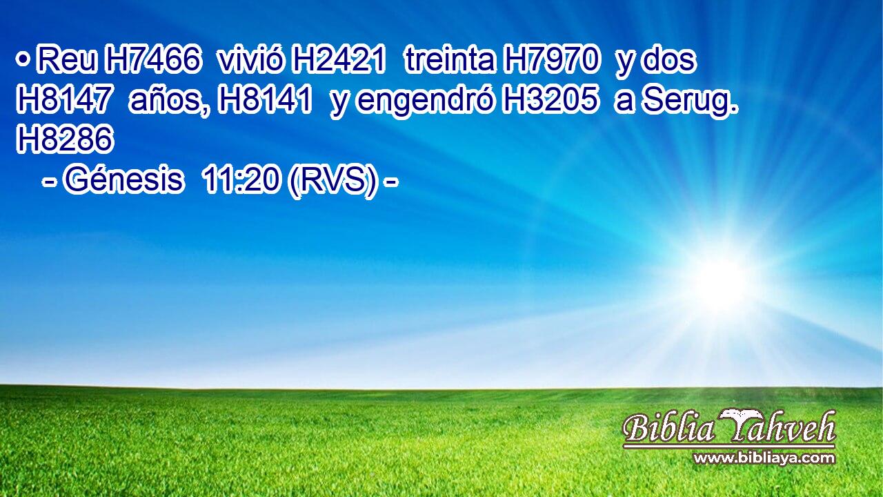 • Reu H7466  vivió H2421  treinta H7970  y dos H8147  años, H8141  y engendró H3205  a Serug. H8286  