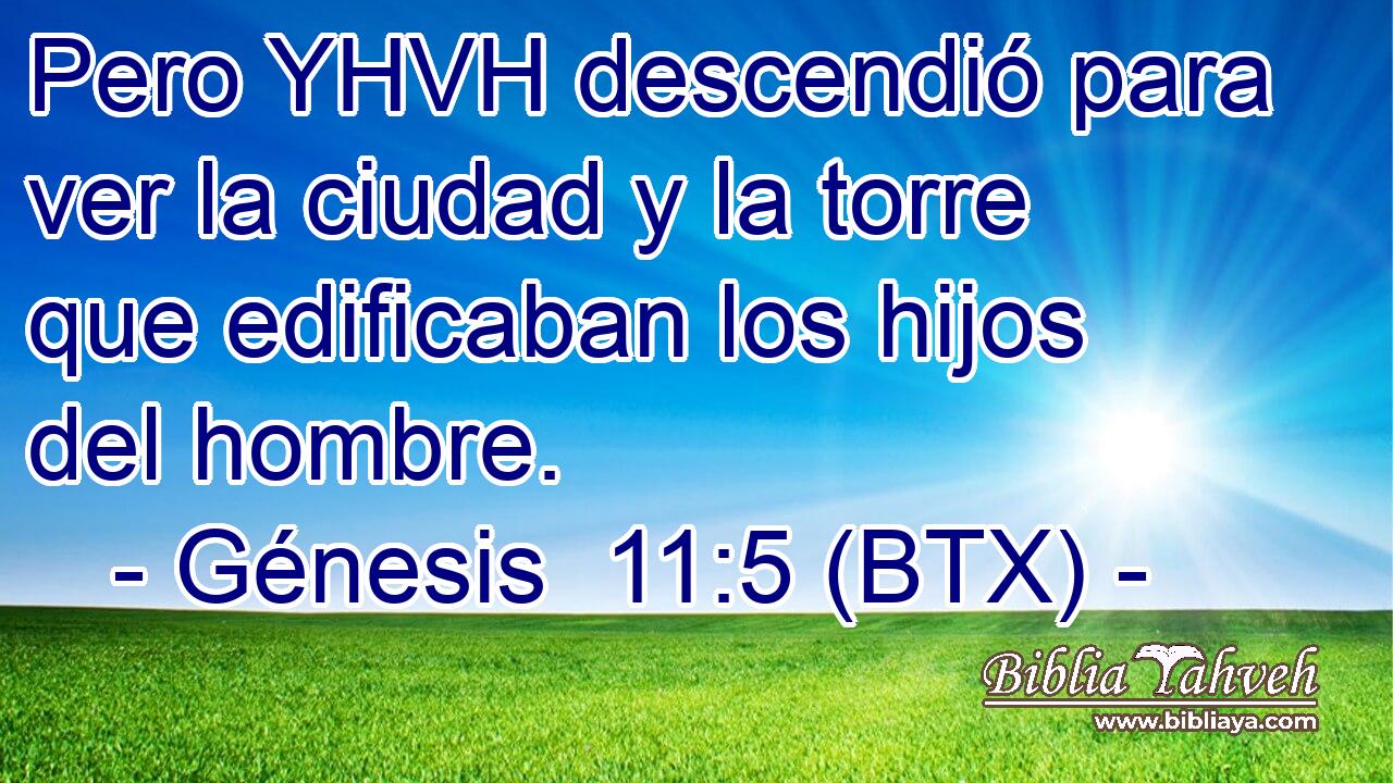 Pero YHVH descendió para ver la ciudad y la torre que edificaban los hijos del hombre.