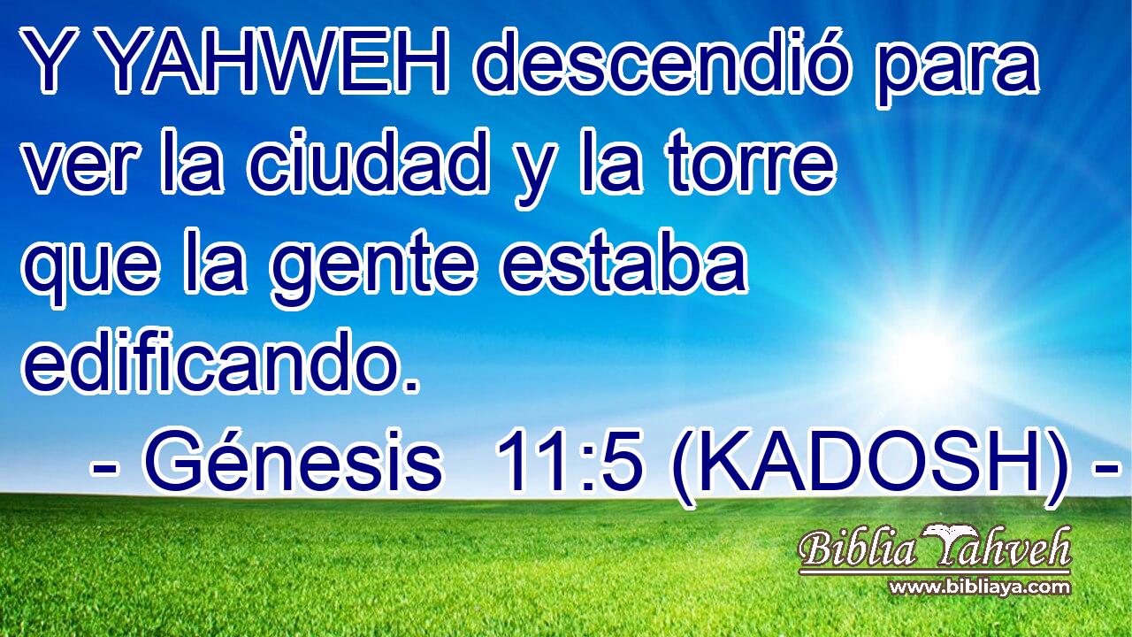  Y YAHWEH descendió para ver la ciudad y la torre que la gente estaba edificando. 