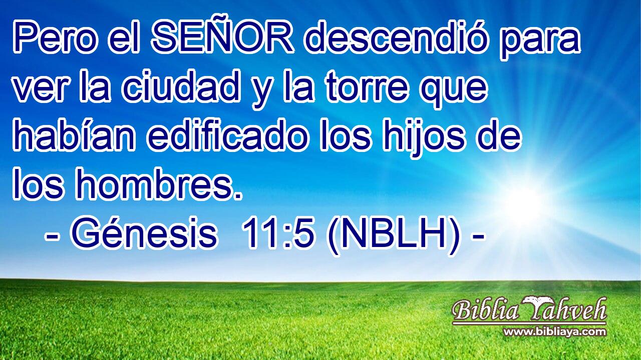  Pero el SEÑOR descendió para ver la ciudad y la torre que habían edificado los hijos de los hombres. 
