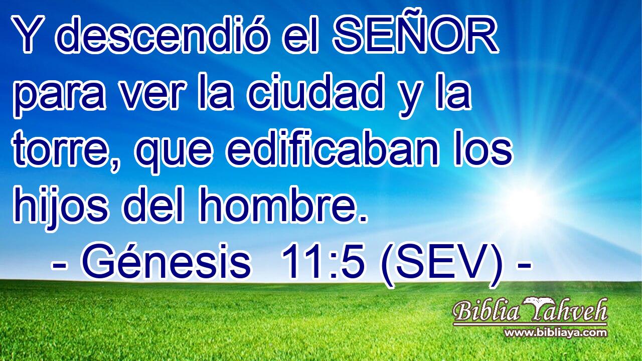 Y descendió el SEÑOR para ver la ciudad y la torre, que edificaban los hijos del hombre.