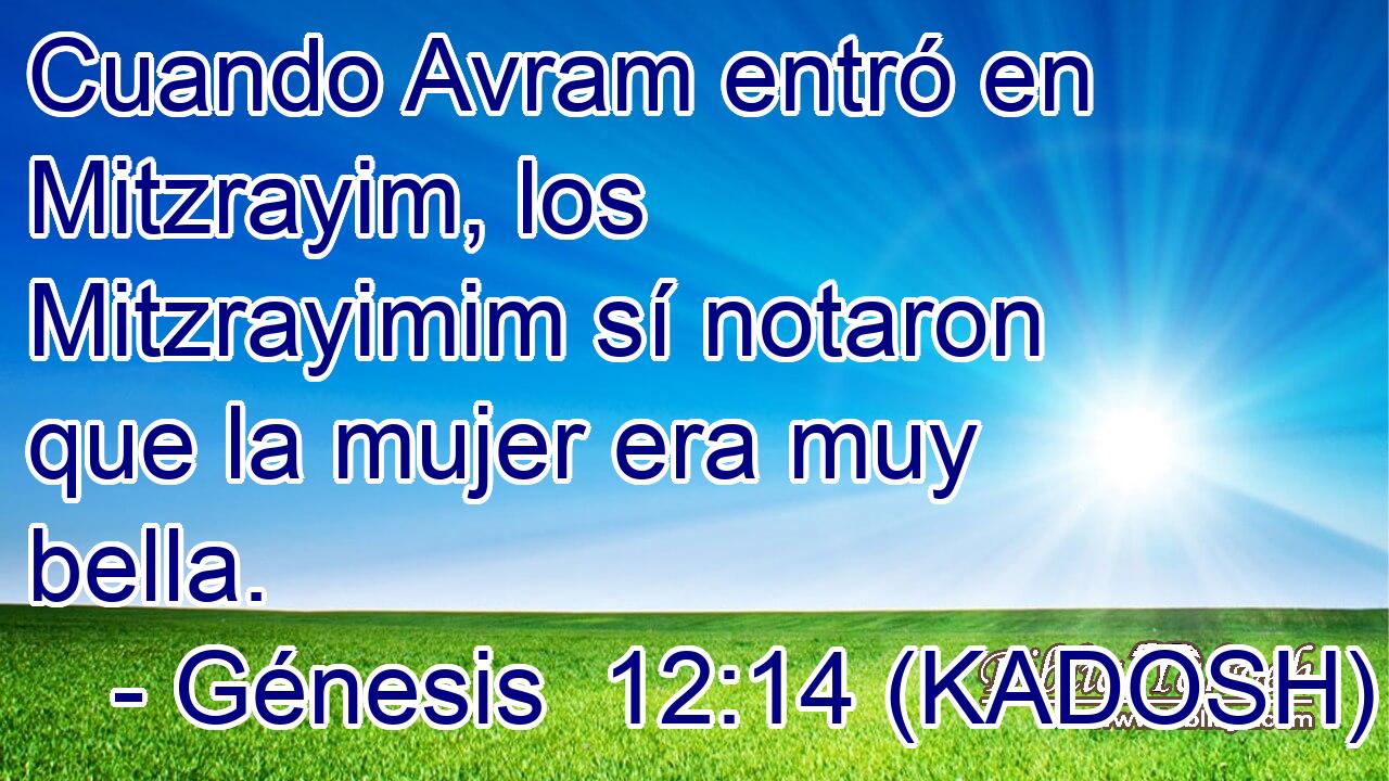  Cuando Avram entró en Mitzrayim, los Mitzrayimim sí notaron que la mujer era muy bella. 