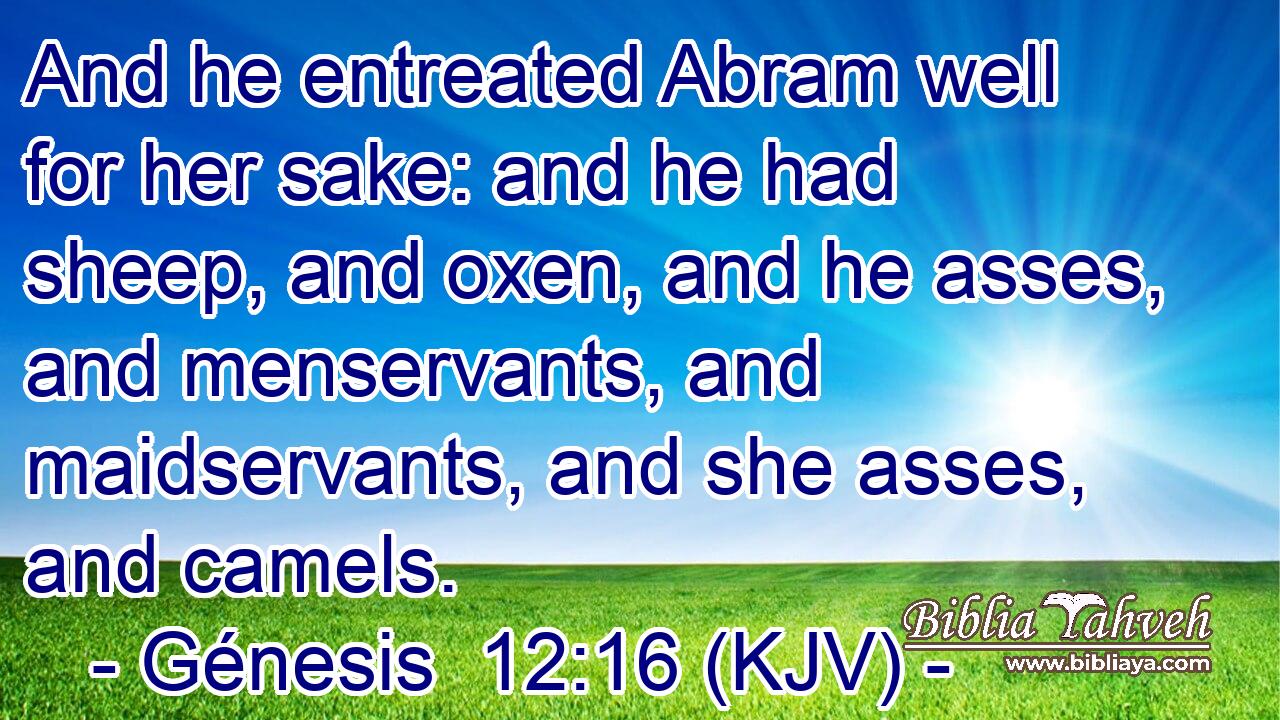 And he entreated Abram well for her sake: and he had sheep, and oxen, and he asses, and menservants, and maidservants, and she asses, and camels.