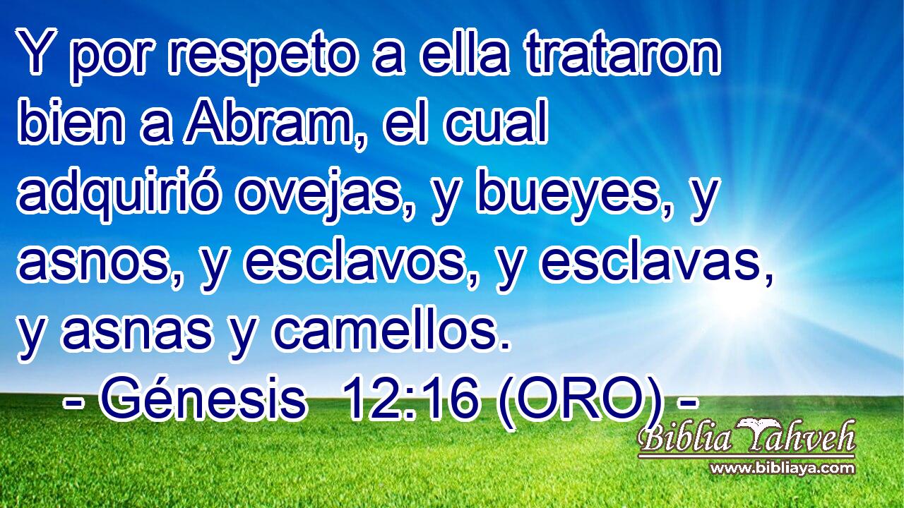  Y por respeto a ella trataron bien a Abram, el cual adquirió ovejas, y bueyes, y asnos, y esclavos, y esclavas, y asnas y camellos. 