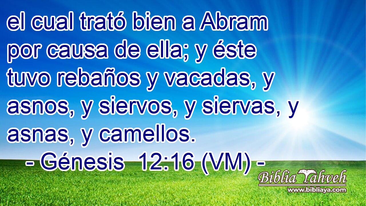  el cual trató bien a Abram por causa de ella; y éste tuvo rebaños y vacadas, y asnos, y siervos, y siervas, y asnas, y camellos. 