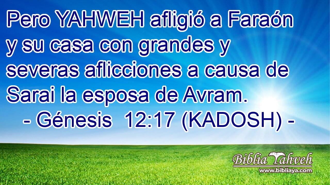  Pero YAHWEH afligió a Faraón y su casa con grandes y severas aflicciones a causa de Sarai la esposa de Avram. 