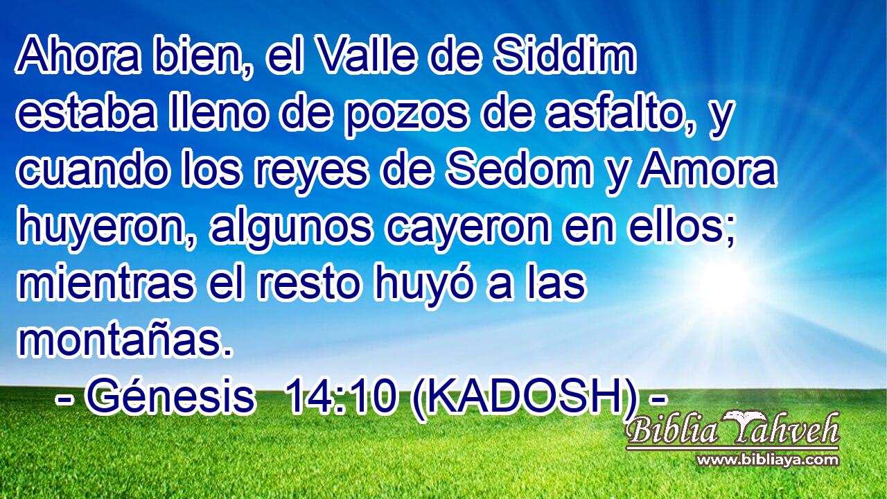  Ahora bien, el Valle de Siddim estaba lleno de pozos de asfalto, y cuando los reyes de Sedom y Amora huyeron, algunos cayeron en ellos; mientras el resto huyó a las montañas. 