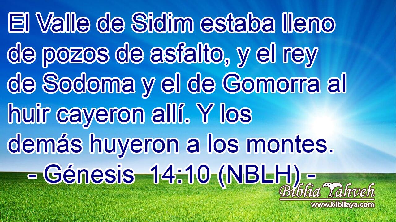  El Valle de Sidim estaba lleno de pozos de asfalto, y el rey de Sodoma y el de Gomorra al huir cayeron allí. Y los demás huyeron a los montes. 