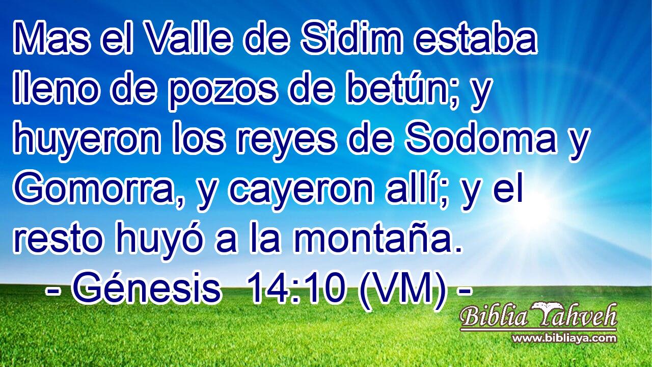  Mas el Valle de Sidim estaba lleno de pozos de betún; y huyeron los reyes de Sodoma y Gomorra, y cayeron allí; y el resto huyó a la montaña. 