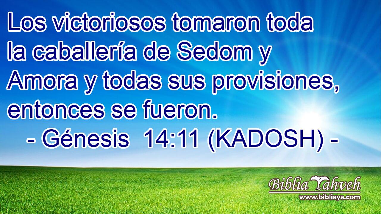  Los victoriosos tomaron toda la caballería de Sedom y Amora y todas sus provisiones, entonces se fueron. 