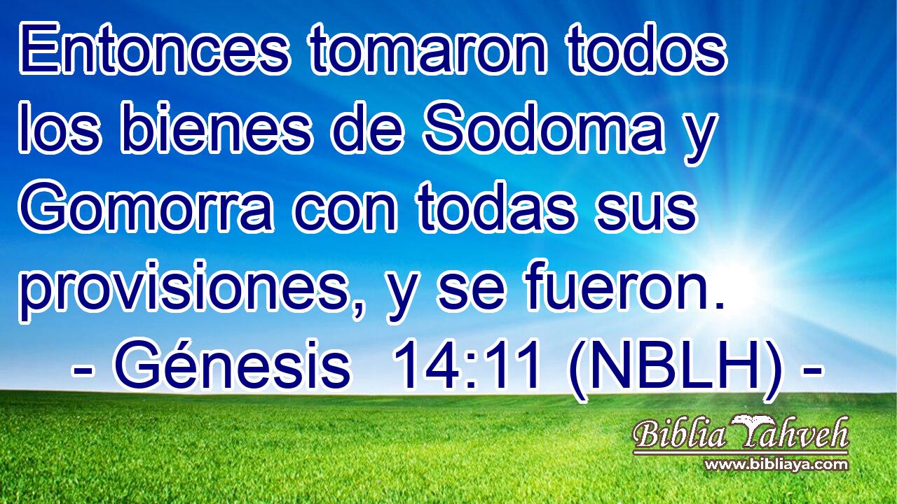 Entonces tomaron todos los bienes de Sodoma y Gomorra con todas sus provisiones, y se fueron. 
