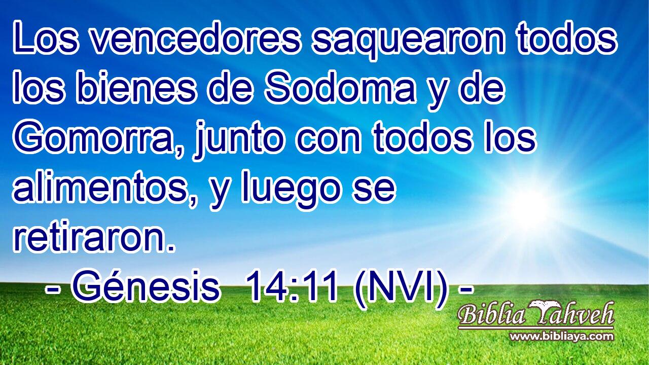  Los vencedores saquearon todos los bienes de Sodoma y de Gomorra, junto con todos los alimentos, y luego se retiraron. 