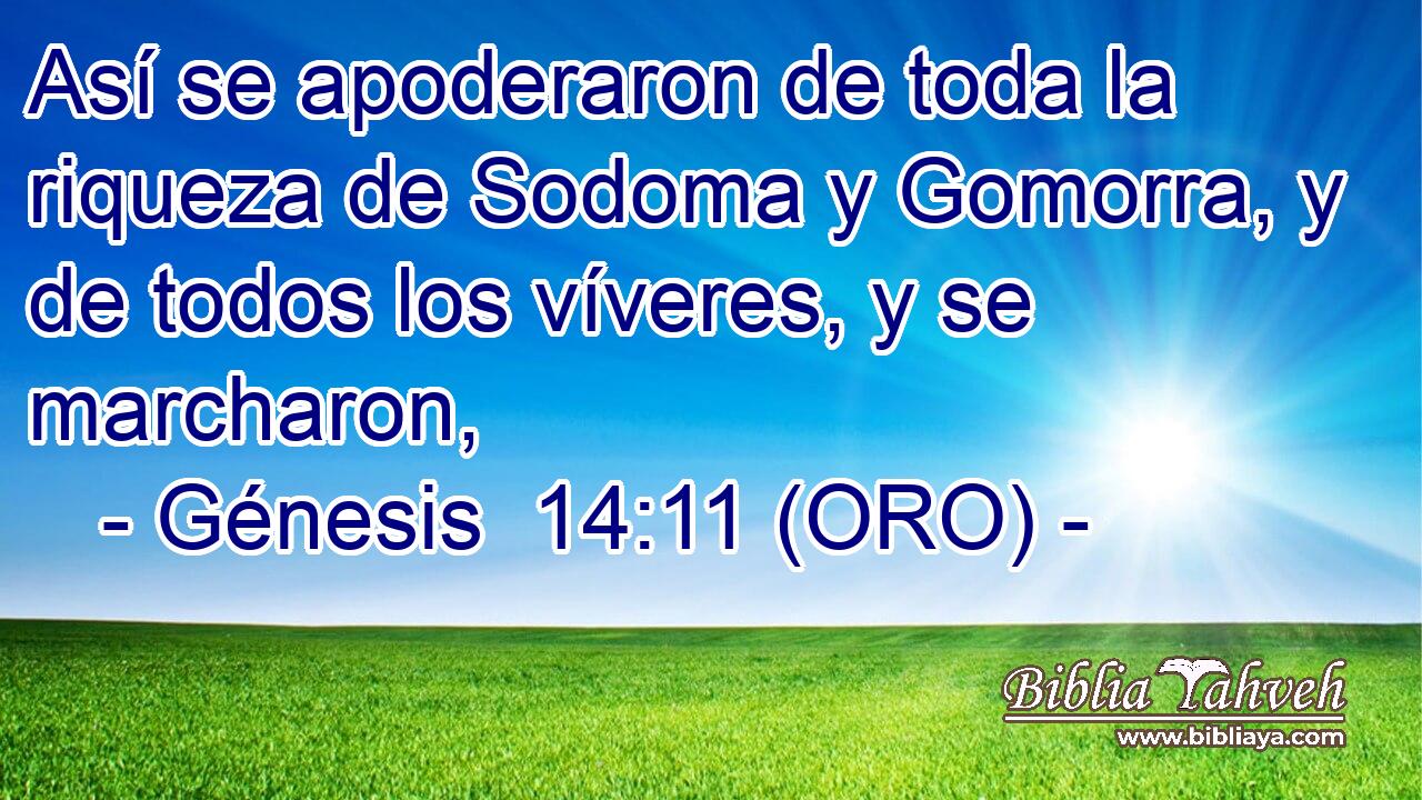  Así se apoderaron de toda la riqueza de Sodoma y Gomorra, y de todos los víveres, y se marcharon, 