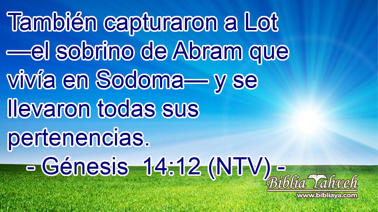 También capturaron a Lot —el sobrino de Abram que vivía en Sodoma— y se llevaron todas sus pertenencias.