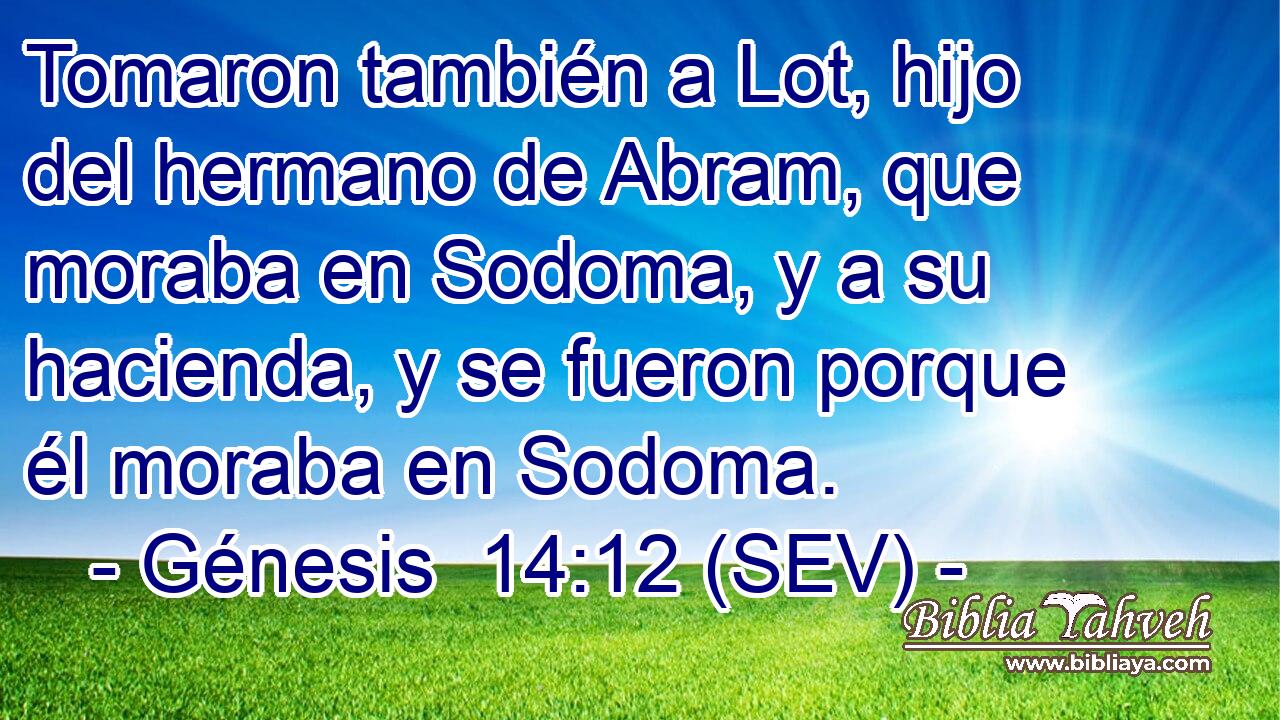 Tomaron también a Lot, hijo del hermano de Abram, que moraba en Sodoma, y a su hacienda, y se fueron porque él moraba en Sodoma.