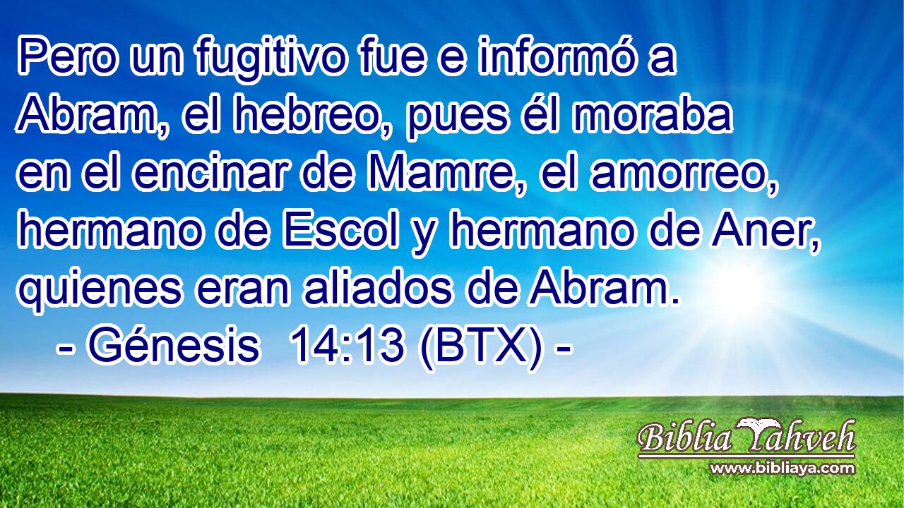 Pero un fugitivo fue e informó a Abram, el hebreo, pues él moraba en el encinar de Mamre, el amorreo, hermano de Escol y hermano de Aner, quienes eran aliados de Abram.