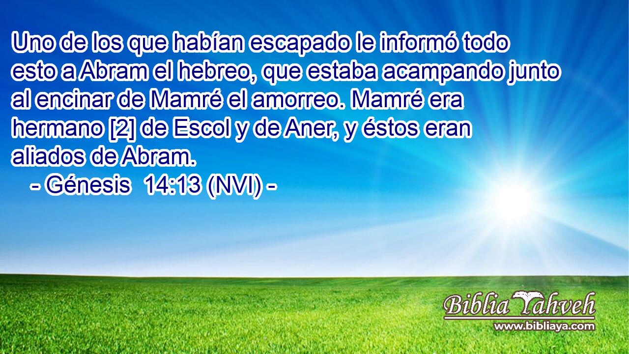  Uno de los que habían escapado le informó todo esto a Abram el hebreo, que estaba acampando junto al encinar de Mamré el amorreo. Mamré era hermano [2] de Escol y de Aner, y éstos eran aliados de Abram. 
