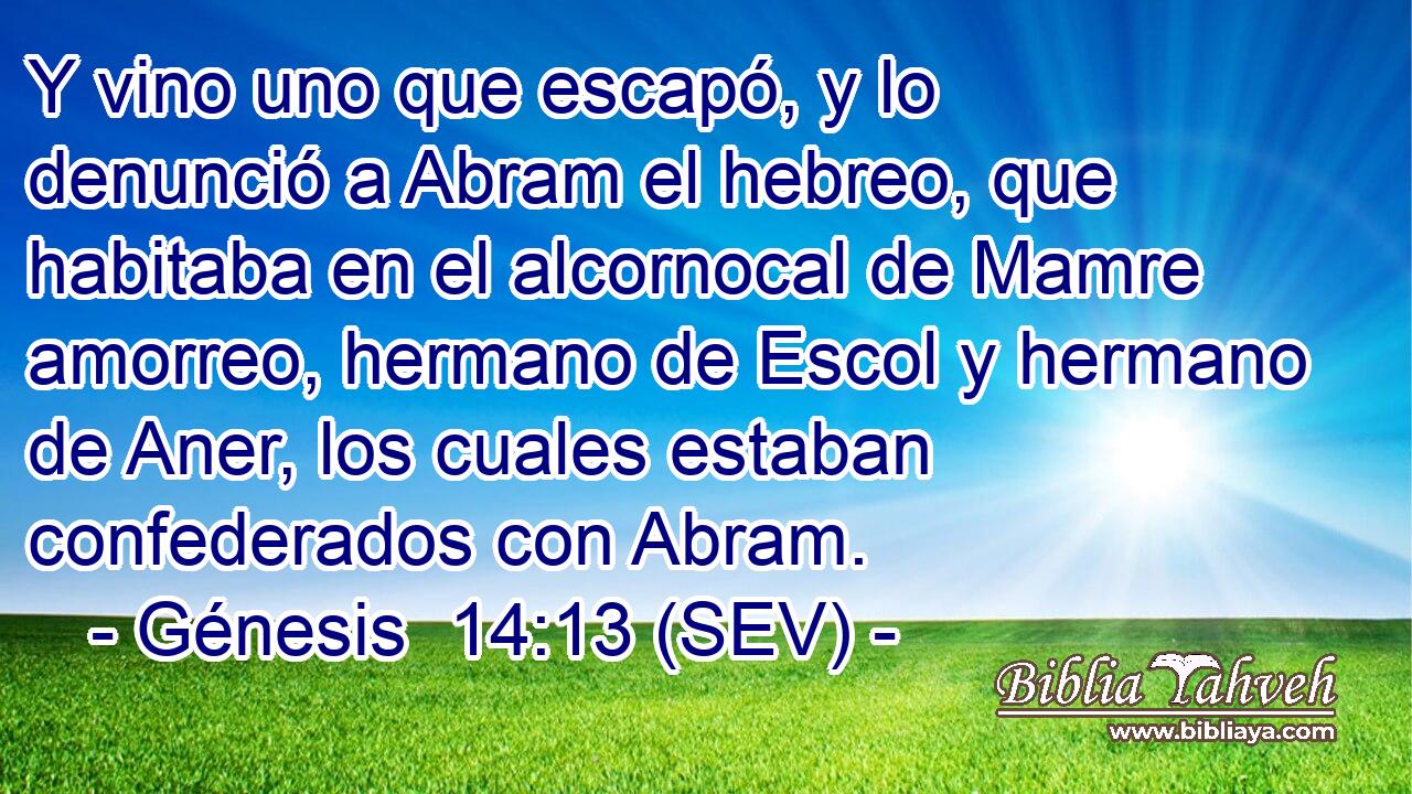 Y vino uno que escapó, y lo denunció a Abram el hebreo, que habitaba en el alcornocal de Mamre amorreo, hermano de Escol y hermano de Aner, los cuales estaban confederados con Abram.