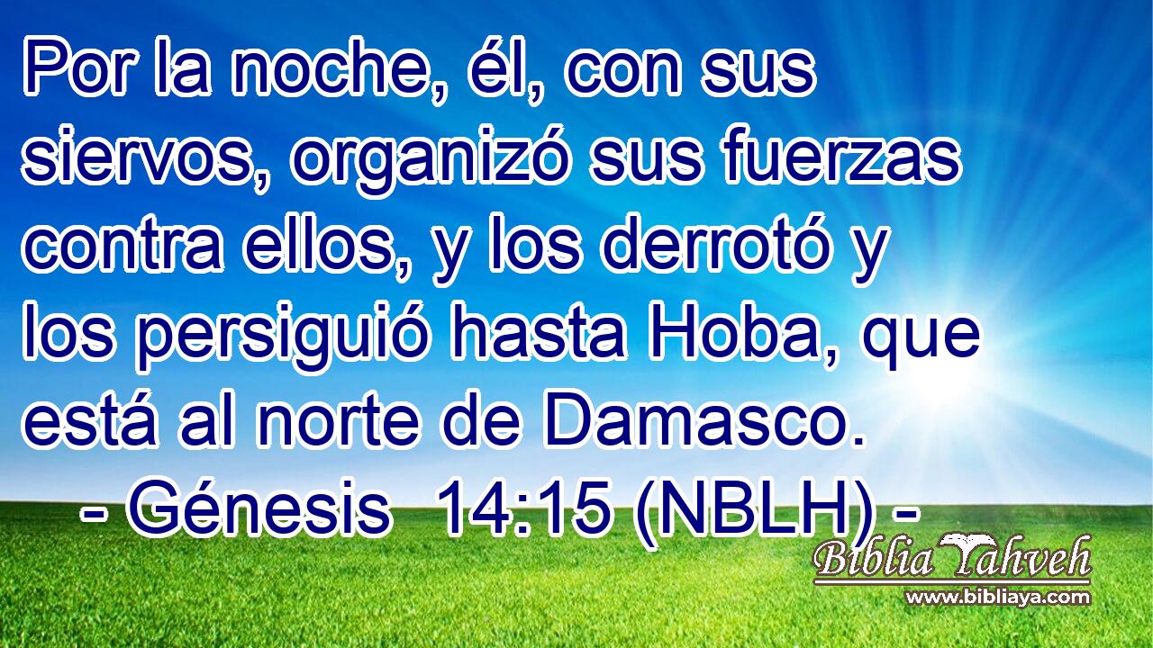  Por la noche, él, con sus siervos, organizó sus fuerzas contra ellos, y los derrotó y los persiguió hasta Hoba, que está al norte de Damasco. 