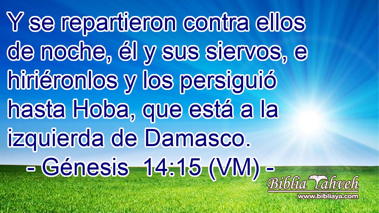 Y se repartieron contra ellos de noche, él y sus siervos, e hiriéronlos y los persiguió hasta Hoba, que está a la izquierda de Damasco. 