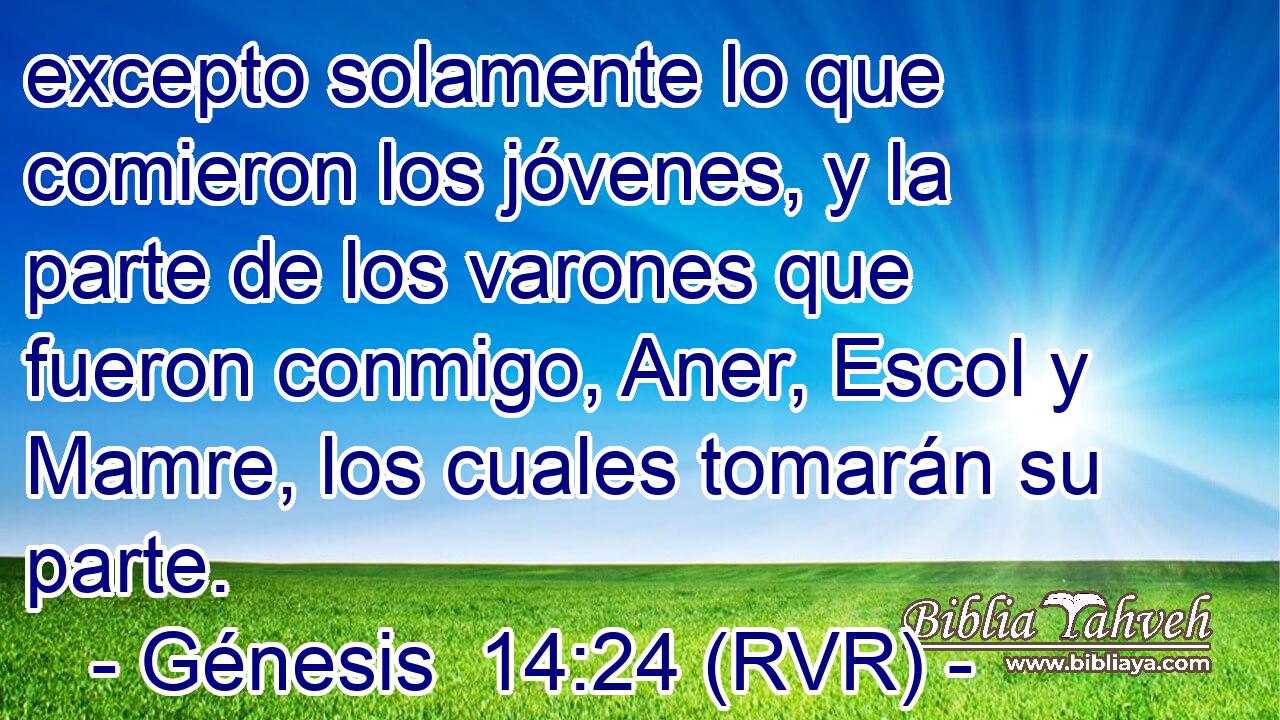 excepto solamente lo que comieron los jóvenes, y la parte de los varones que fueron conmigo, Aner, Escol y Mamre, los cuales tomarán su parte.