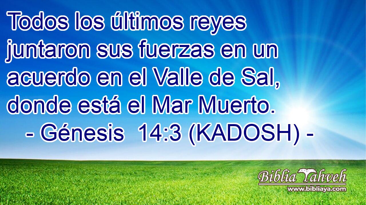  Todos los últimos reyes juntaron sus fuerzas en un acuerdo en el Valle de Sal, donde está el Mar Muerto. 
