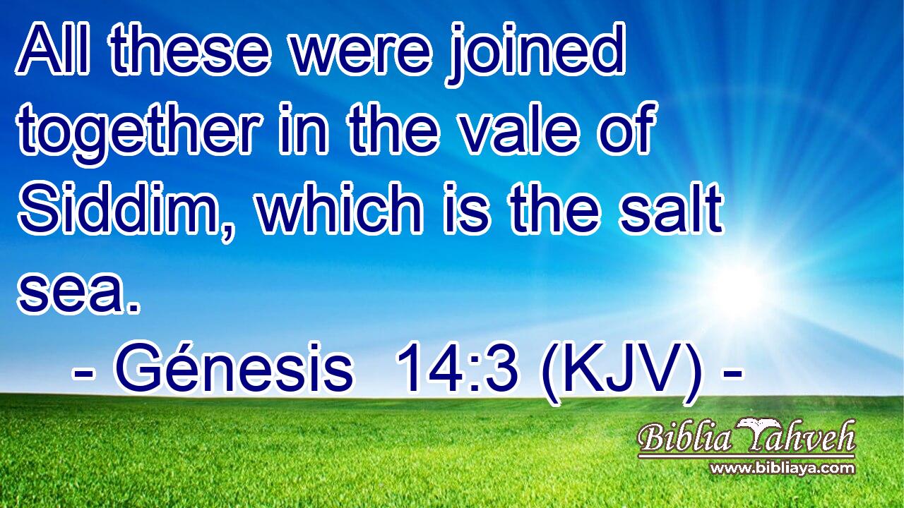 All these were joined together in the vale of Siddim, which is the salt sea.
