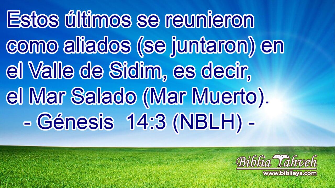  Estos últimos se reunieron como aliados (se juntaron) en el Valle de Sidim, es decir, el Mar Salado (Mar Muerto). 
