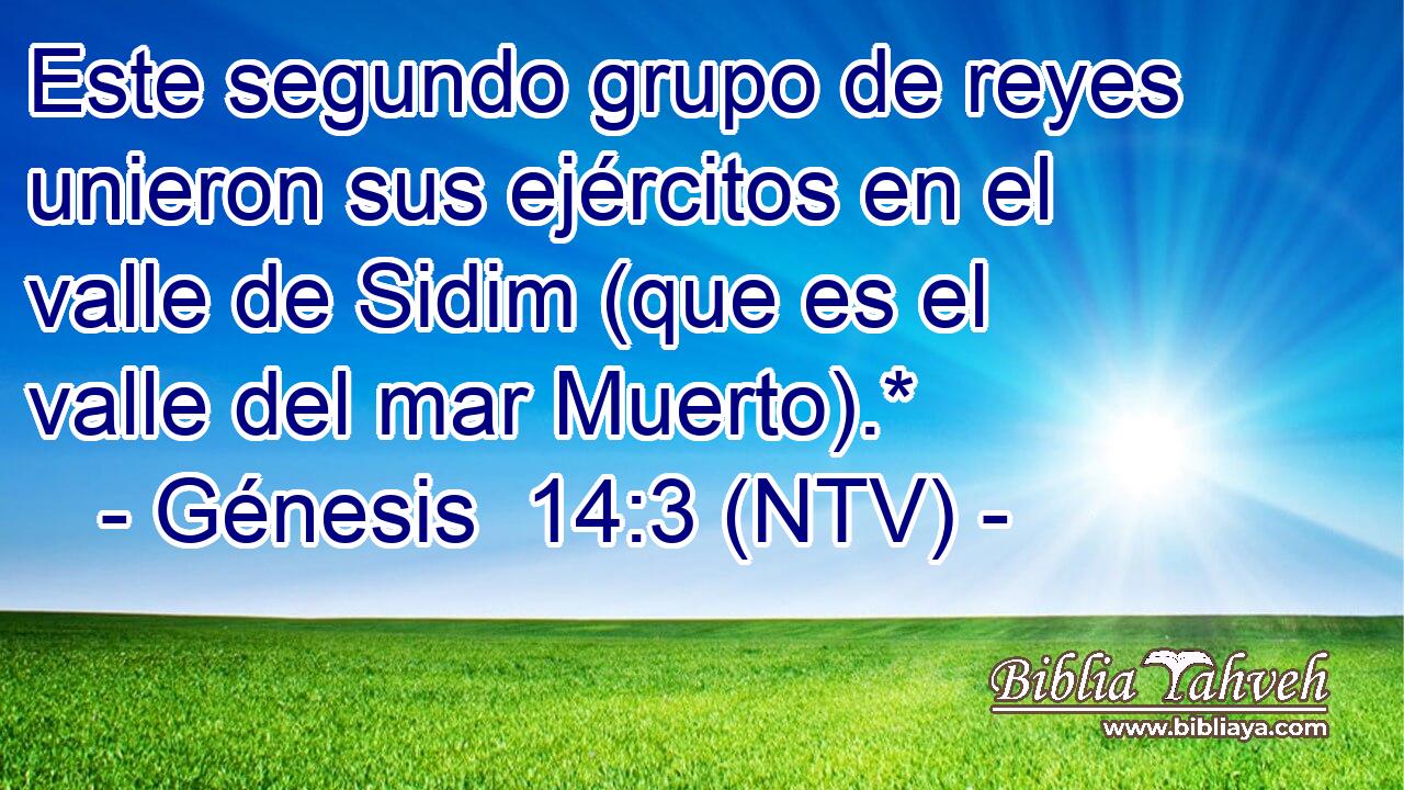 Este segundo grupo de reyes unieron sus ejércitos en el valle de Sidim (que es el valle del mar Muerto).*