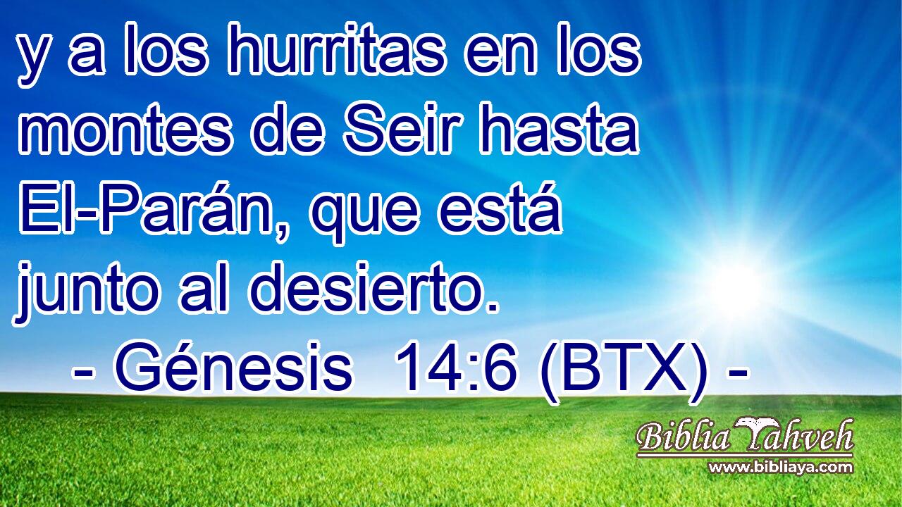 y a los hurritas en los montes de Seir hasta El-Parán, que está junto al desierto.